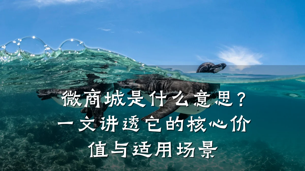 微商城是什么意思?一文讲透它的核心价值与适用场景