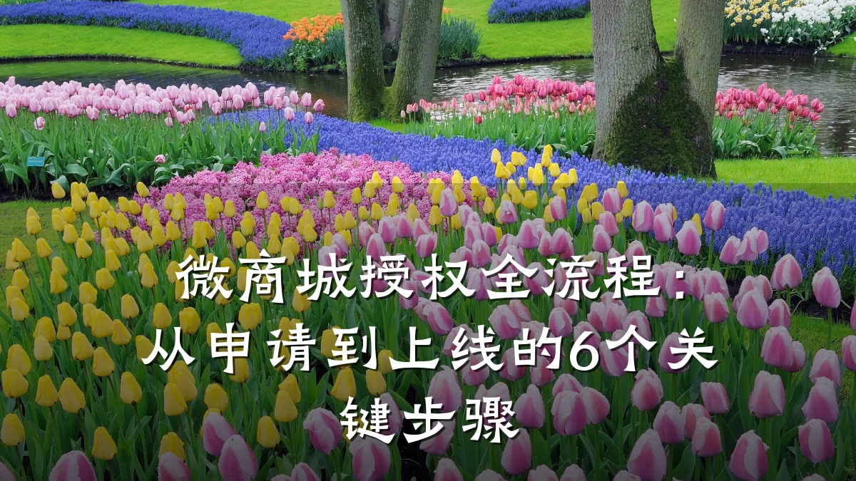 微商城授权全流程：从申请到上线的6个关键步骤
