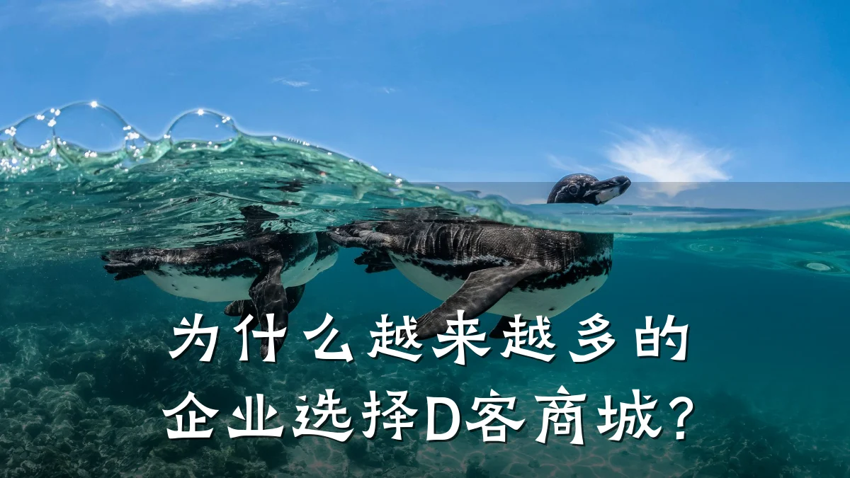 为什么越来越多的企业选择D客商城?