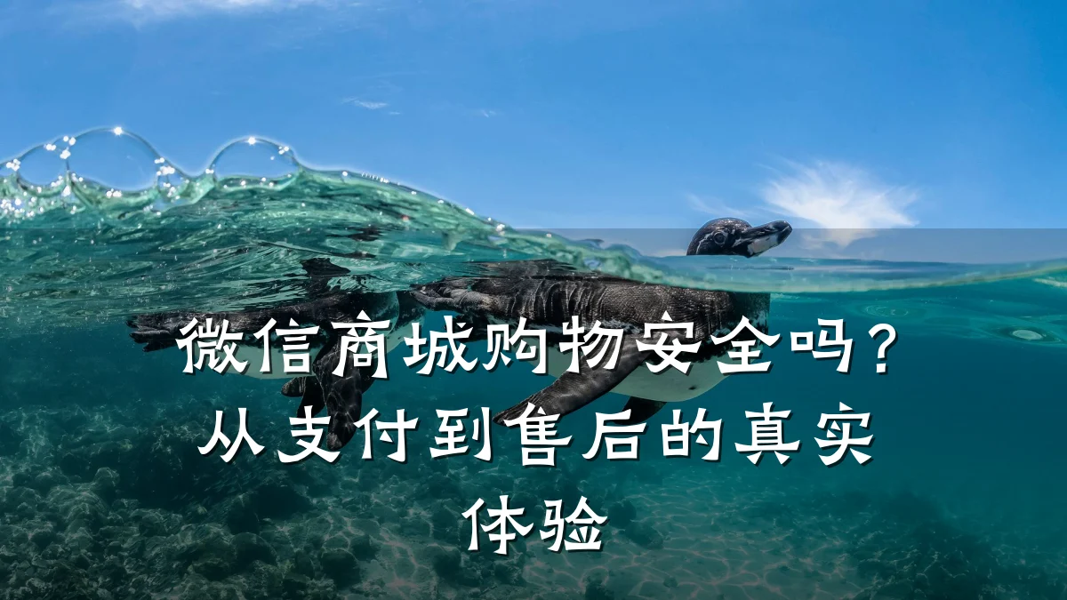 微信商城购物安全吗？从支付到售后的真实体验