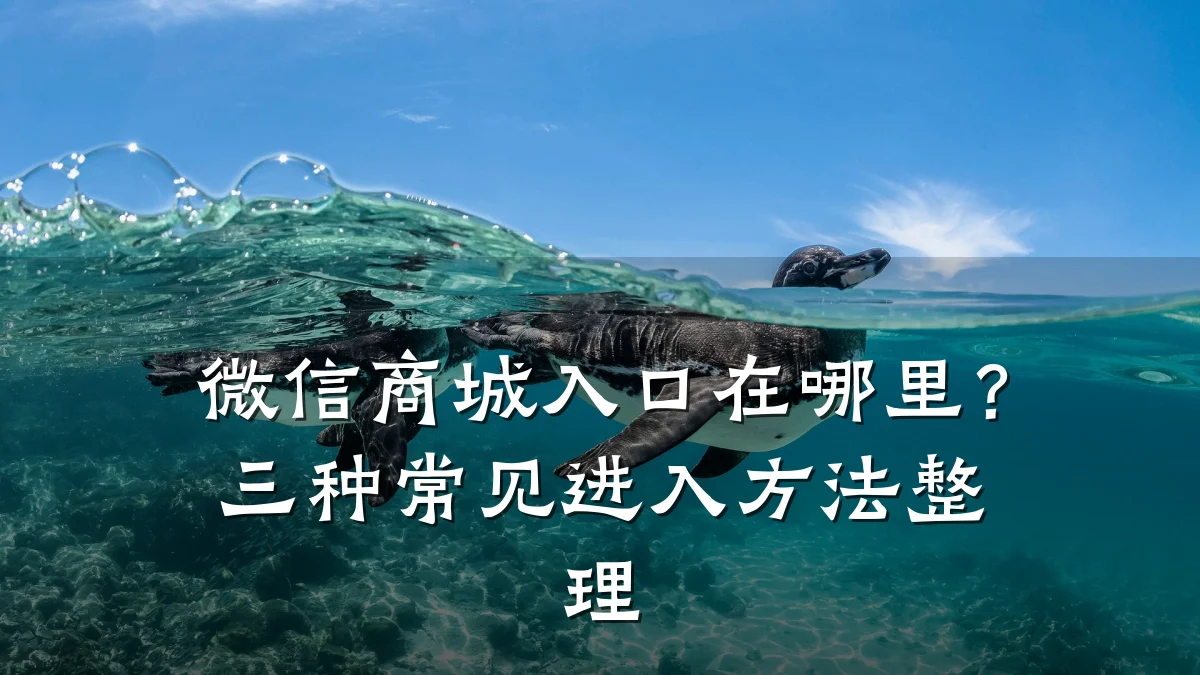 微信商城入口在哪里？三种常见进入方法整理