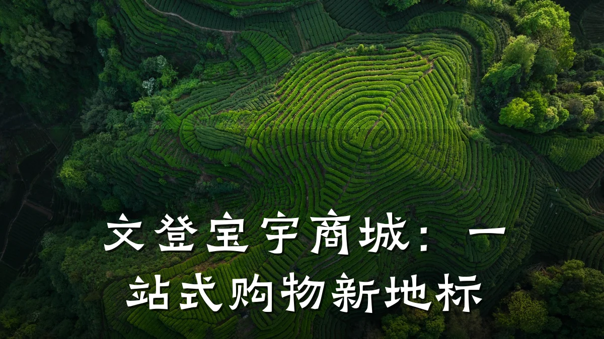 文登宝宇商城:一站式购物新地标