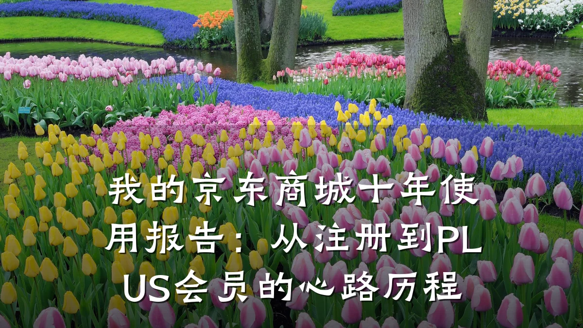 我的京东商城十年使用报告：从注册到PLUS会员的心路历程