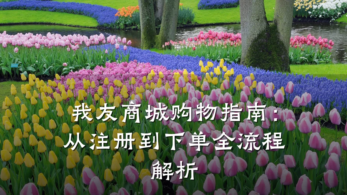 我友商城购物指南：从注册到下单全流程解析
