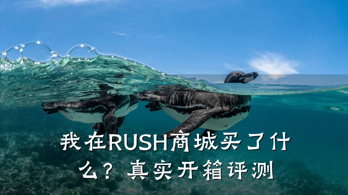 我在RUSH商城买了什么?真实开箱评测