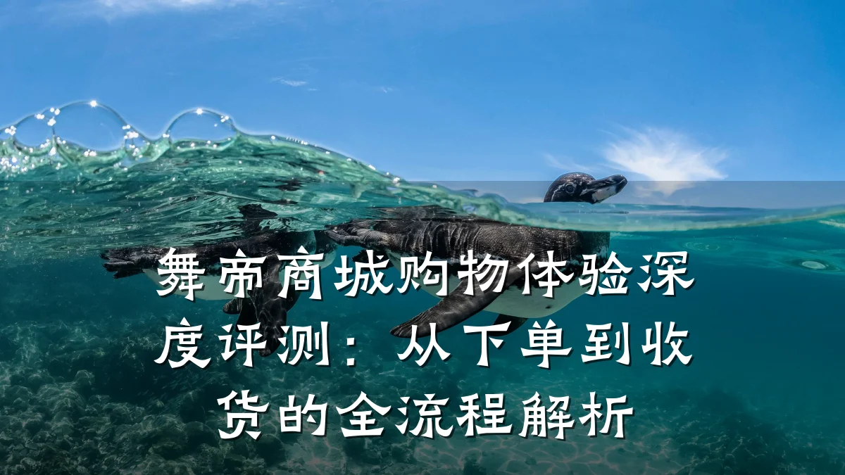 舞帝商城购物体验深度评测：从下单到收货的全流程解析