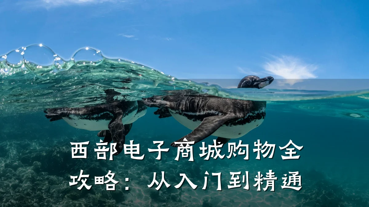 西部电子商城购物全攻略:从入门到精通