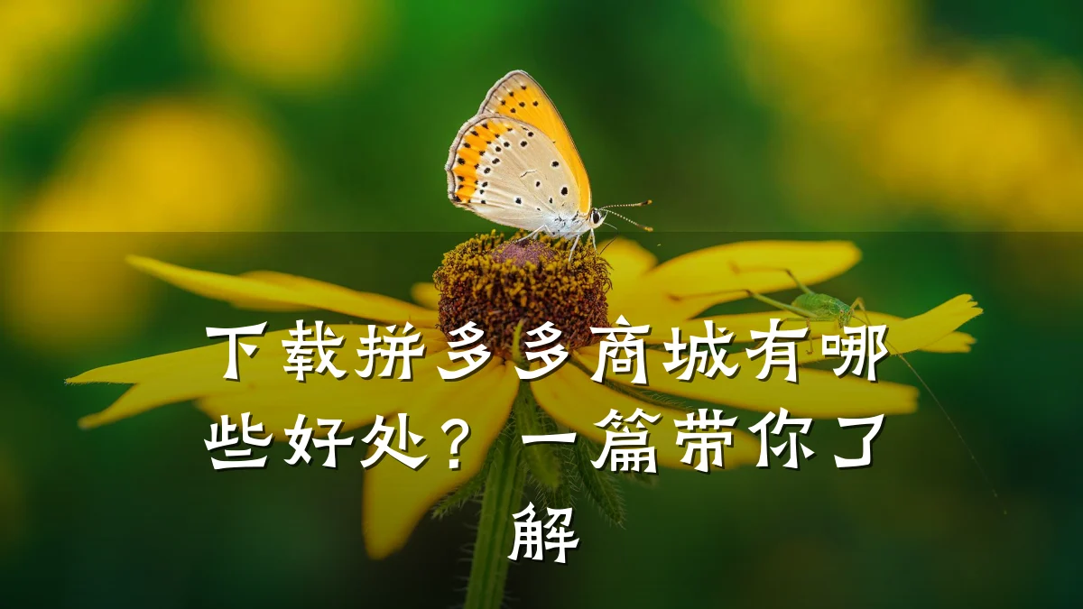 下载拼多多商城有哪些好处?一篇带你了解