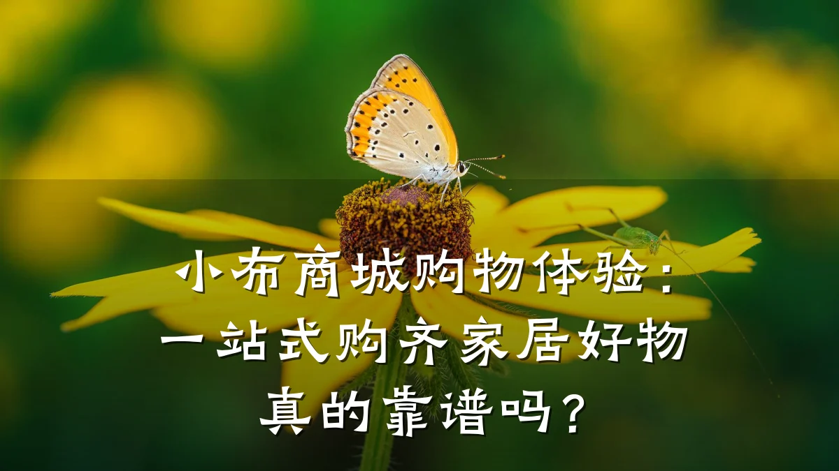 小布商城购物体验:一站式购齐家居好物真的靠谱吗?