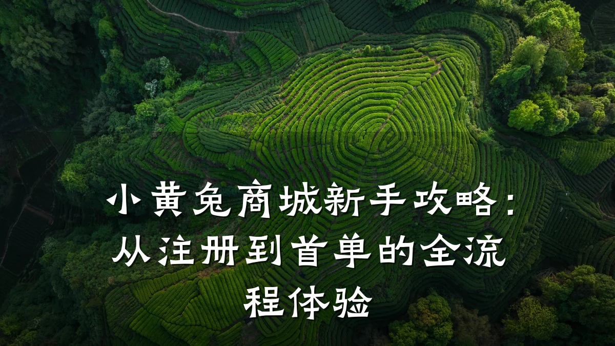 小黄兔商城新手攻略：从注册到首单的全流程体验