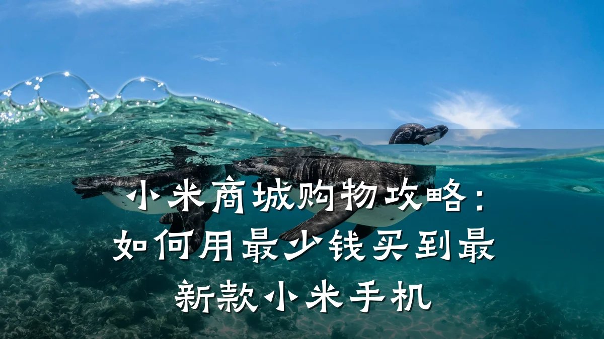 小米商城购物攻略：如何用最少钱买到最新款小米手机