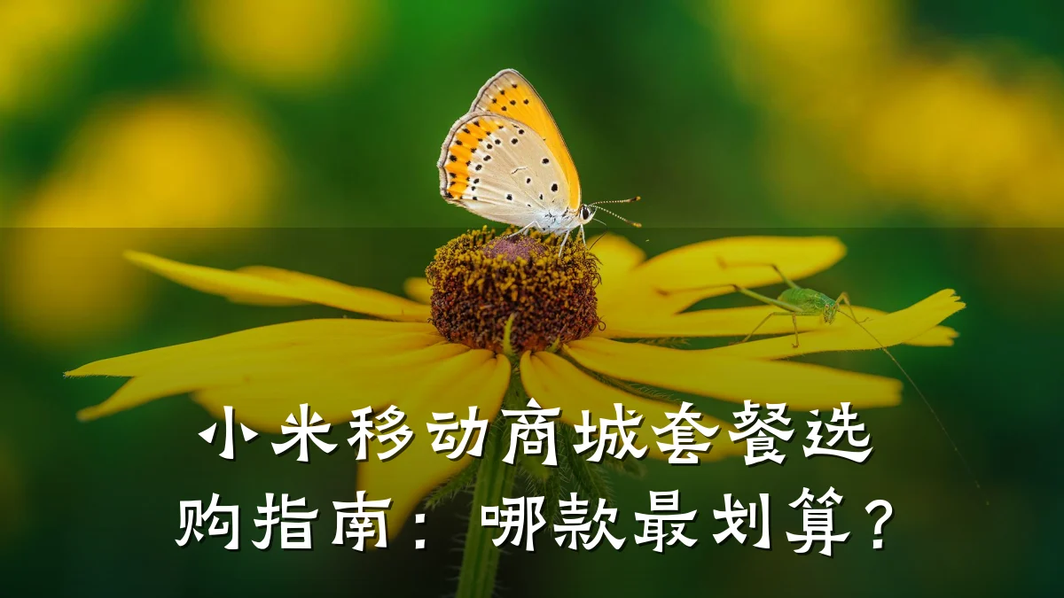 小米移动商城套餐选购指南:哪款最划算?