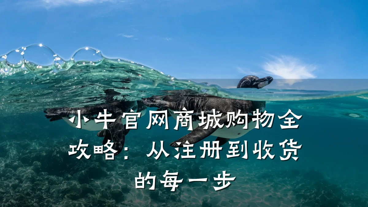 小牛官网商城购物全攻略：从注册到收货的每一步