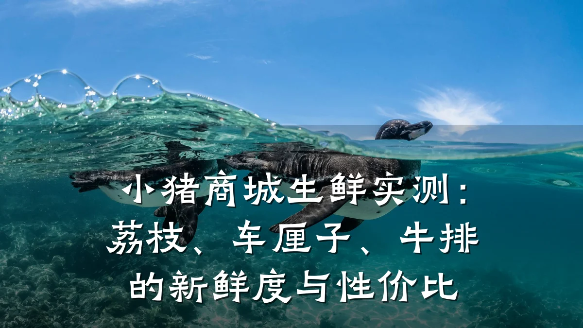小猪商城生鲜实测:荔枝、车厘子、牛排的新鲜度与性价比