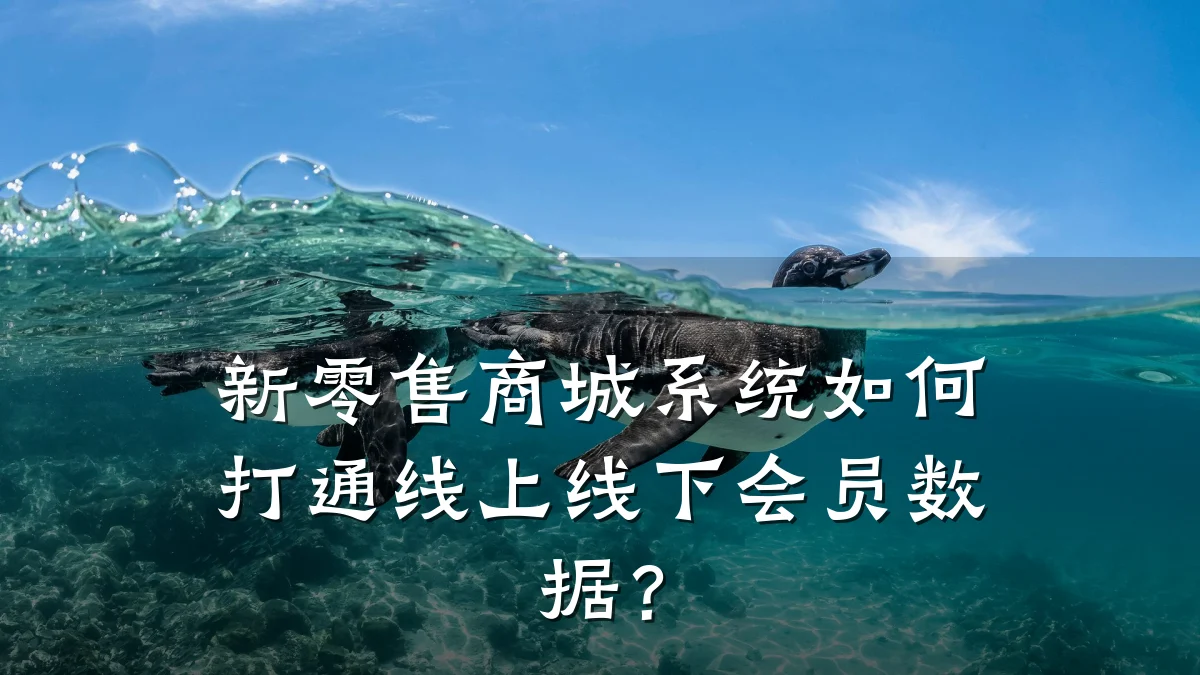 新零售商城系统如何打通线上线下会员数据？
