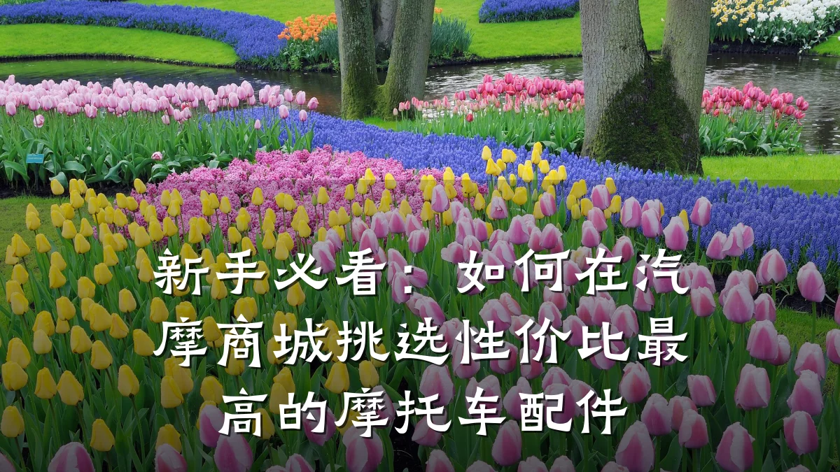 新手必看:如何在汽摩商城挑选性价比最高的摩托车配件