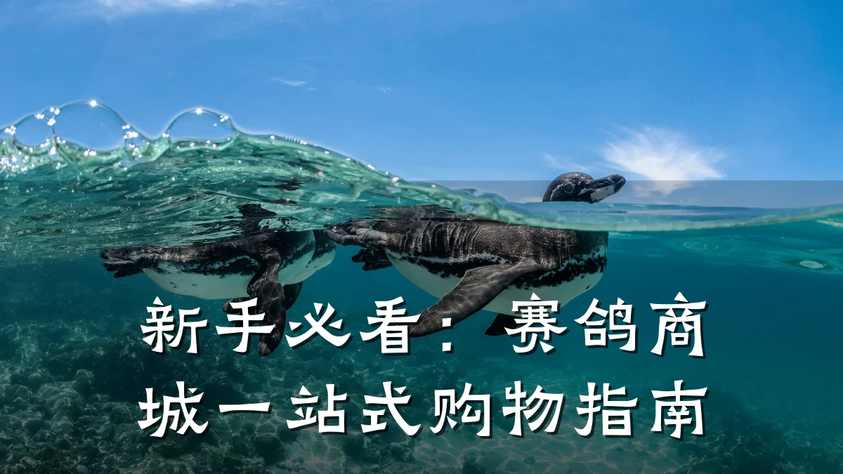 新手必看：赛鸽商城一站式购物指南