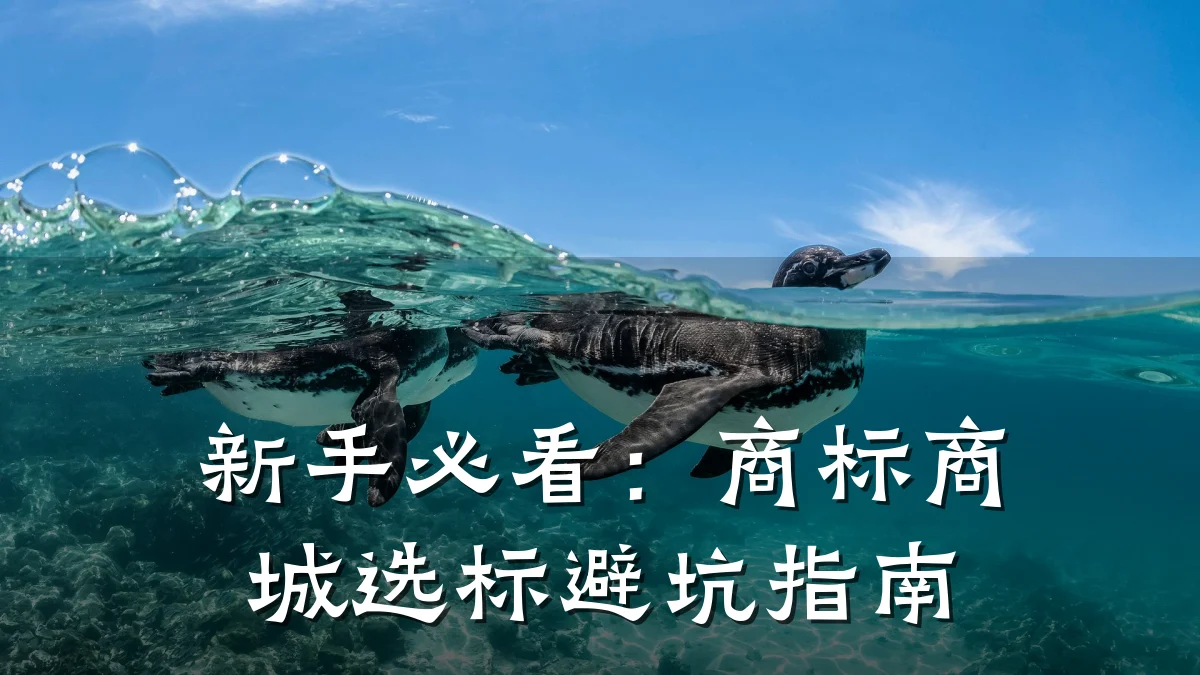 新手必看：商标商城选标避坑指南