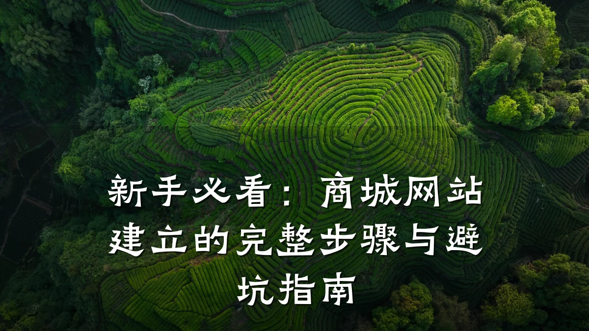 新手必看：商城网站建立的完整步骤与避坑指南