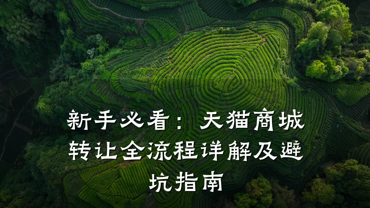 新手必看:天猫商城转让全流程详解及避坑指南
