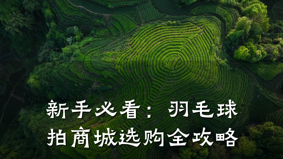 新手必看:羽毛球拍商城选购全攻略
