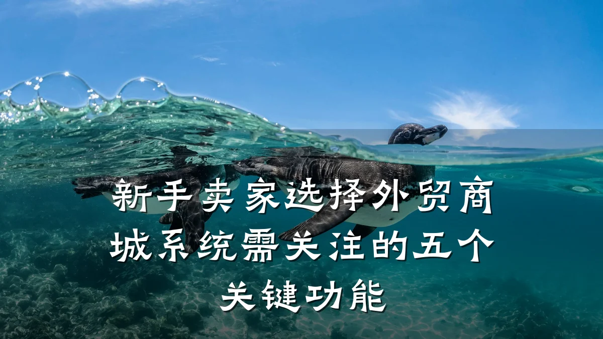 新手卖家选择外贸商城系统需关注的五个关键功能