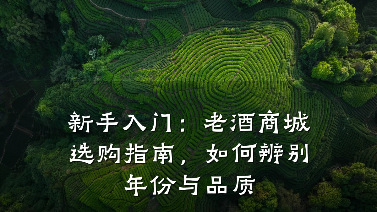 新手入门:老酒商城选购指南,如何辨别年份与品质