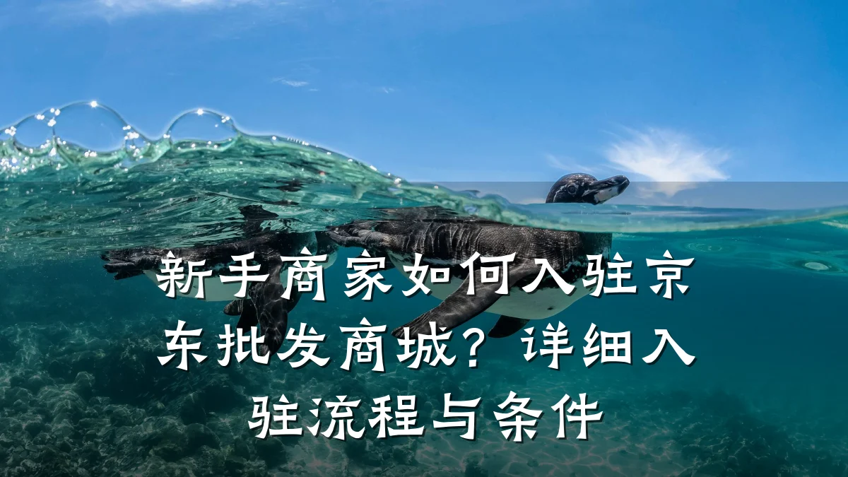 新手商家如何入驻京东批发商城?详细入驻流程与条件
