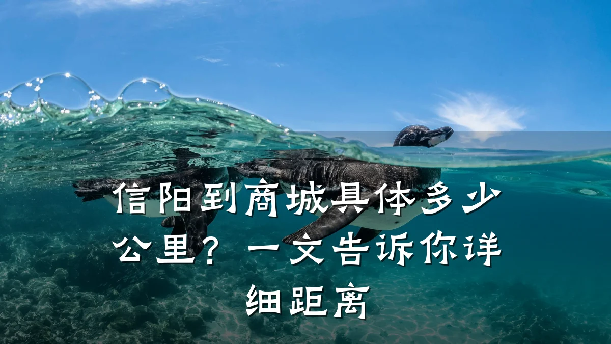 信阳到商城具体多少公里?一文告诉你详细距离