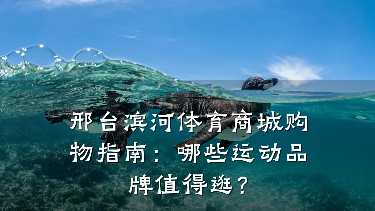 邢台滨河体育商城购物指南:哪些运动品牌值得逛?