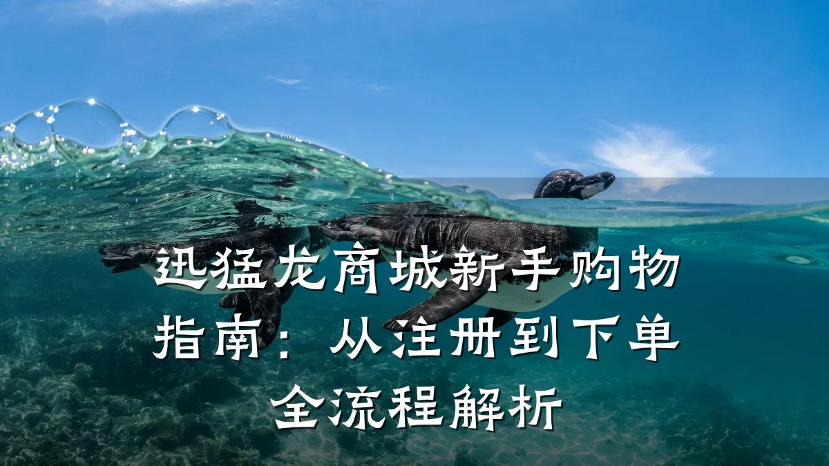 迅猛龙商城新手购物指南：从注册到下单全流程解析