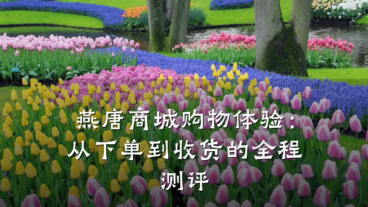燕唐商城购物体验:从下单到收货的全程测评