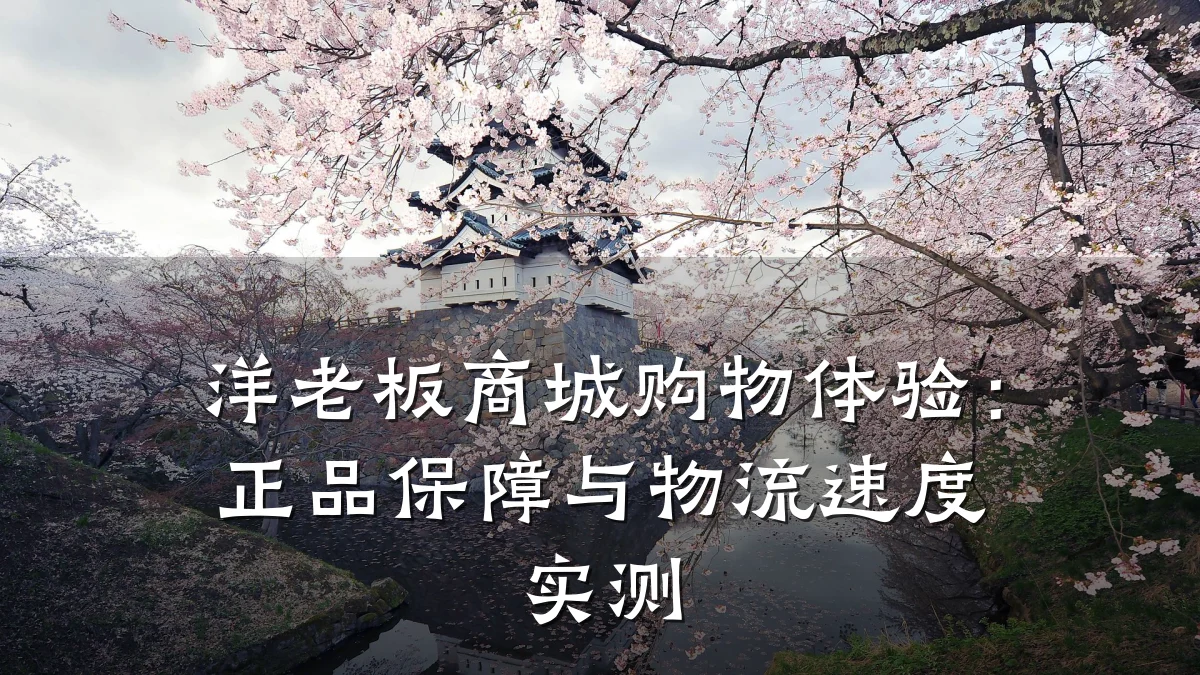 洋老板商城购物体验：正品保障与物流速度实测