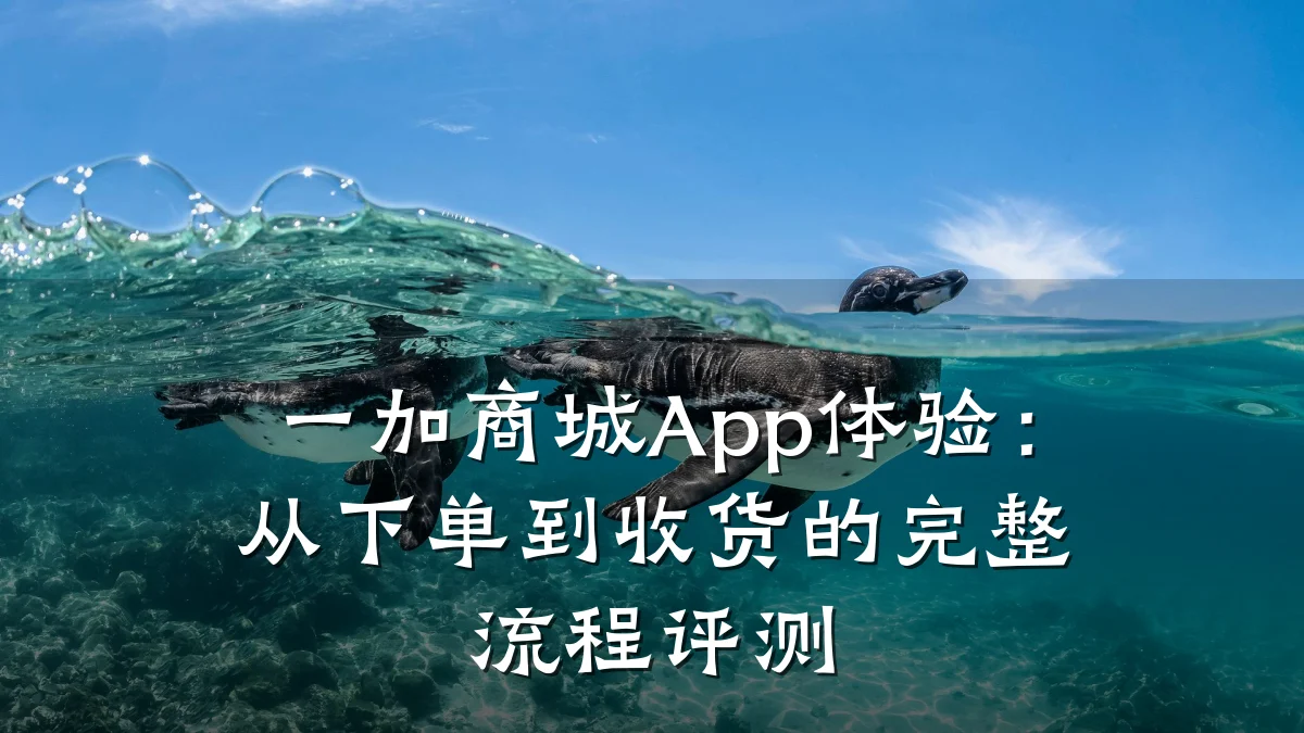 一加商城App体验：从下单到收货的完整流程评测