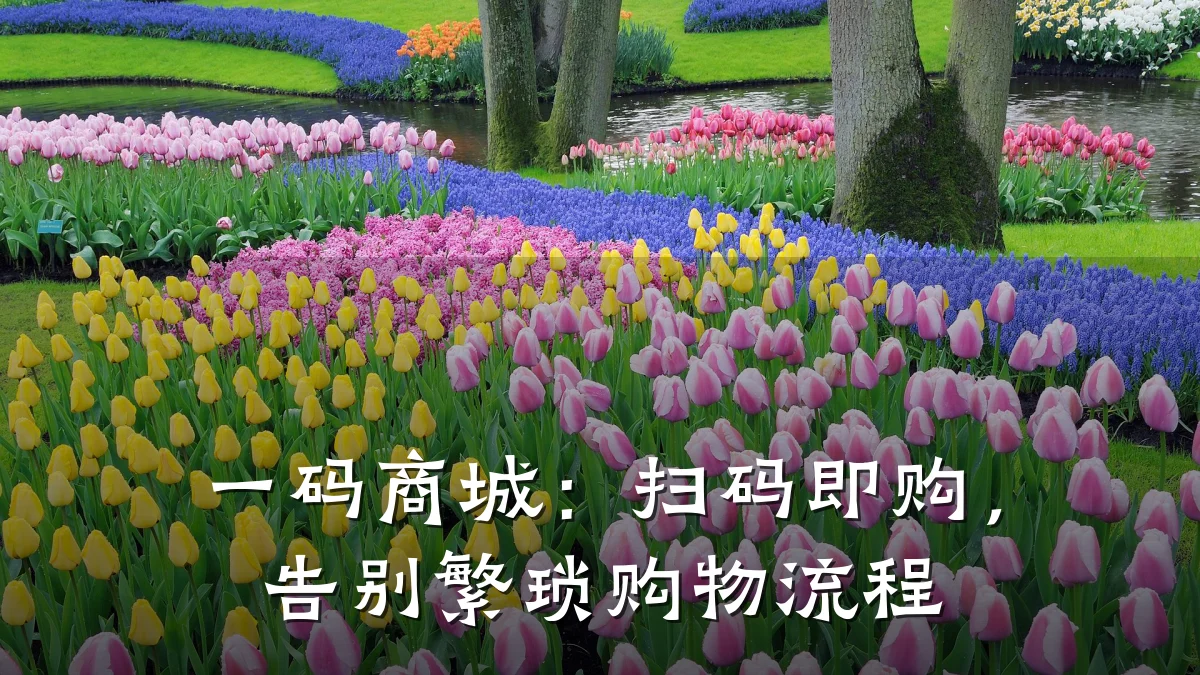 一码商城：扫码即购，告别繁琐购物流程