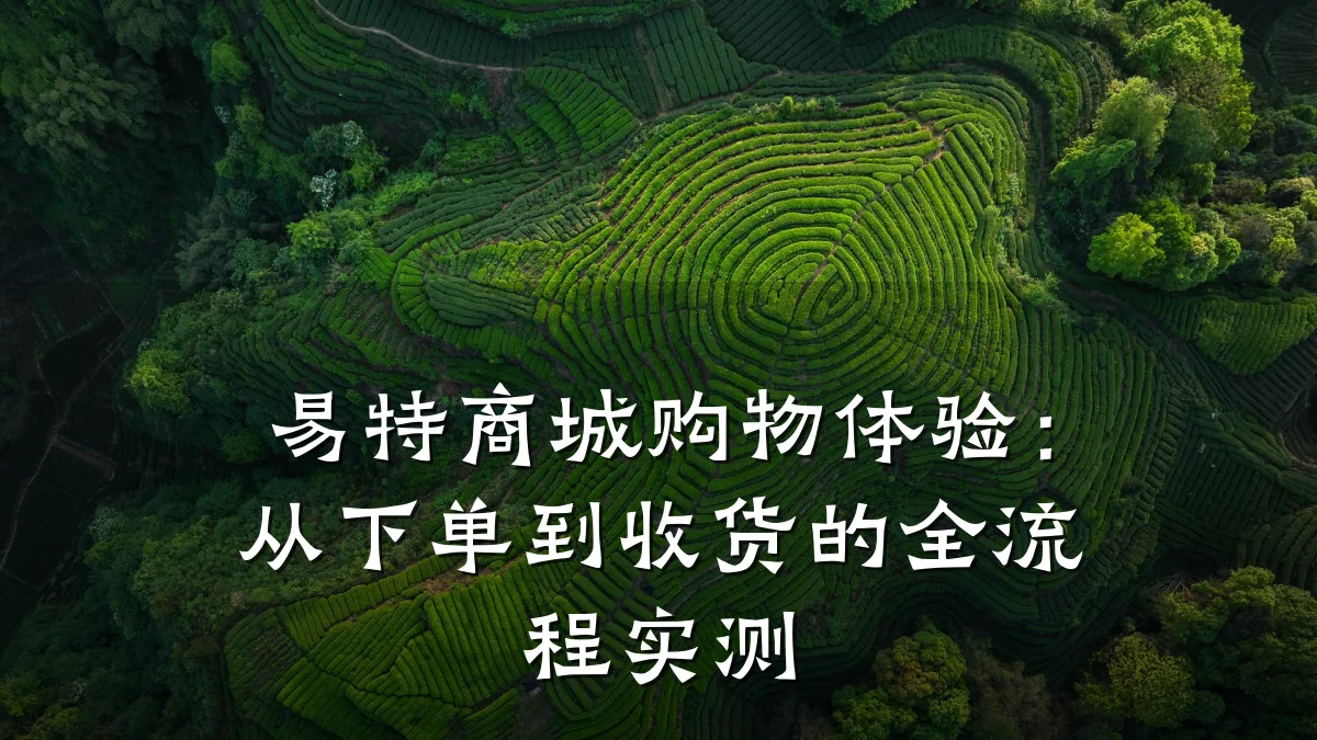 易特商城购物体验:从下单到收货的全流程实测