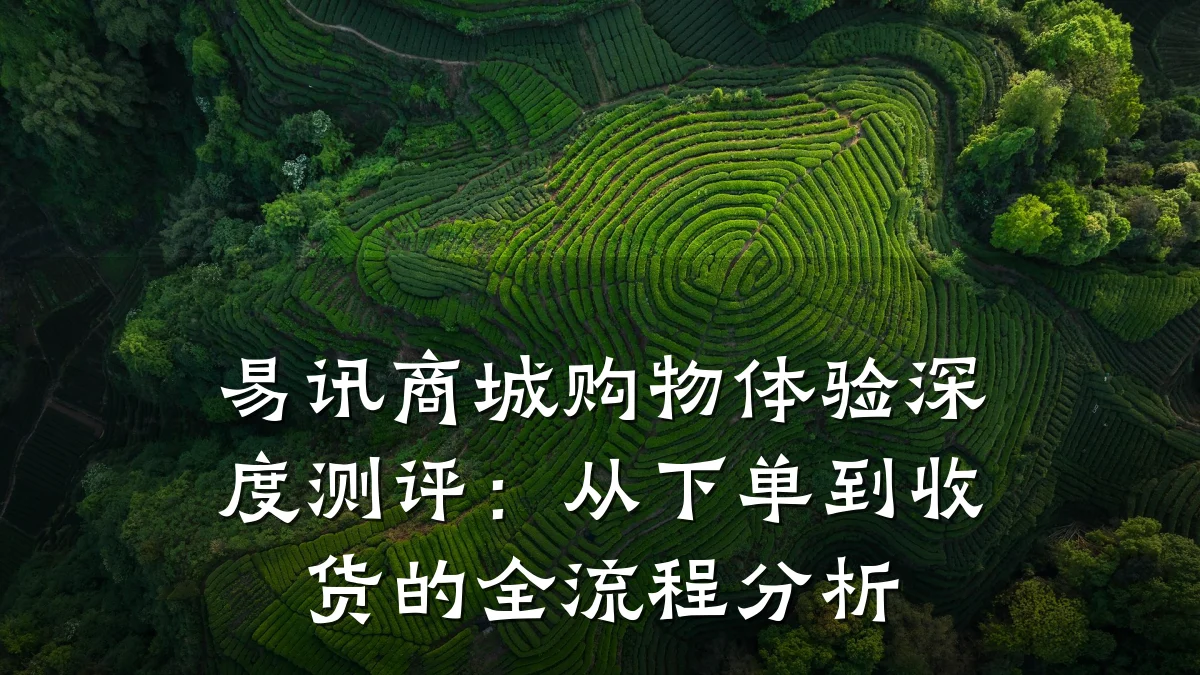 易讯商城购物体验深度测评:从下单到收货的全流程分析