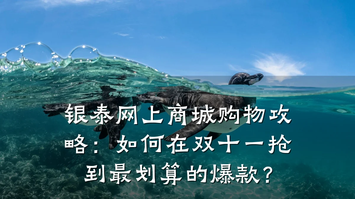 银泰网上商城购物攻略：如何在双十一抢到最划算的爆款？