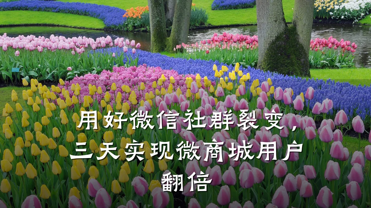 用好微信社群裂变，三天实现微商城用户翻倍