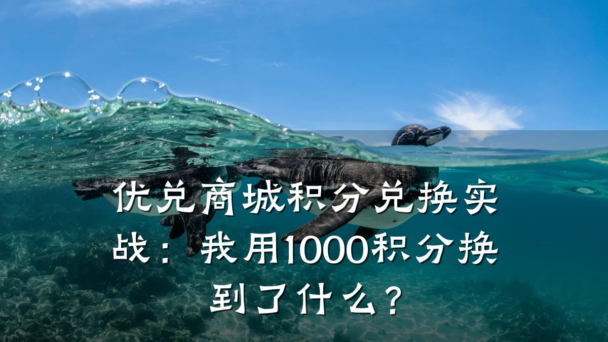 优兑商城积分兑换实战：我用1000积分换到了什么？