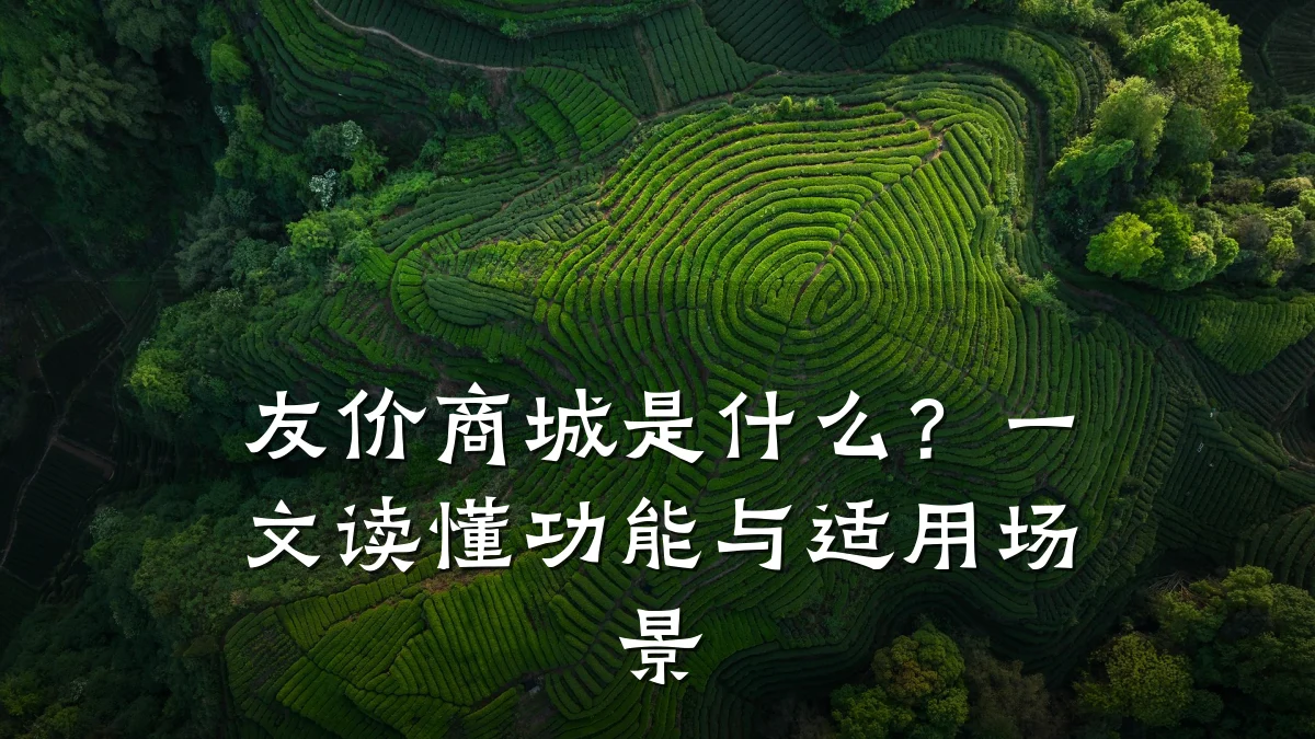 友价商城是什么?一文读懂功能与适用场景