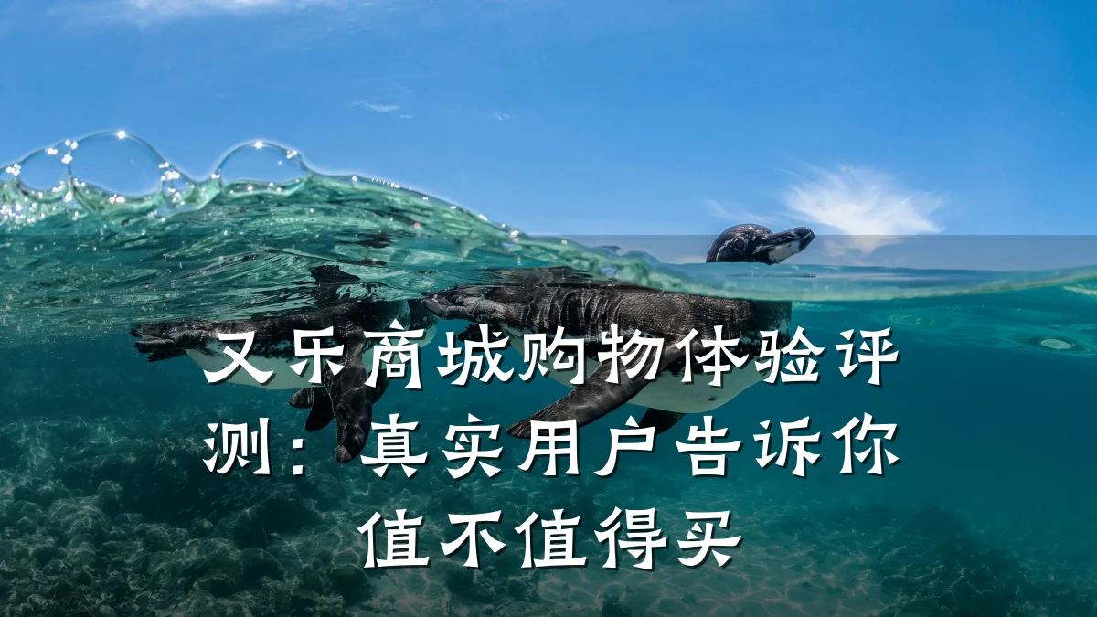 又乐商城购物体验评测：真实用户告诉你值不值得买