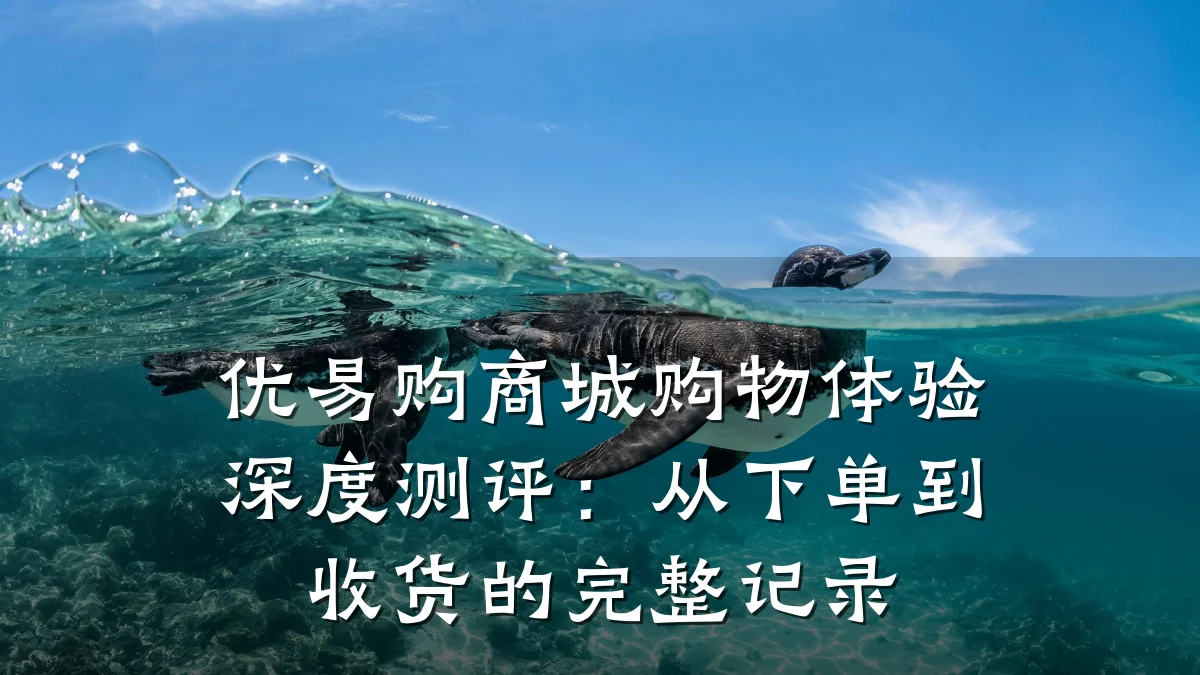 优易购商城购物体验深度测评:从下单到收货的完整记录