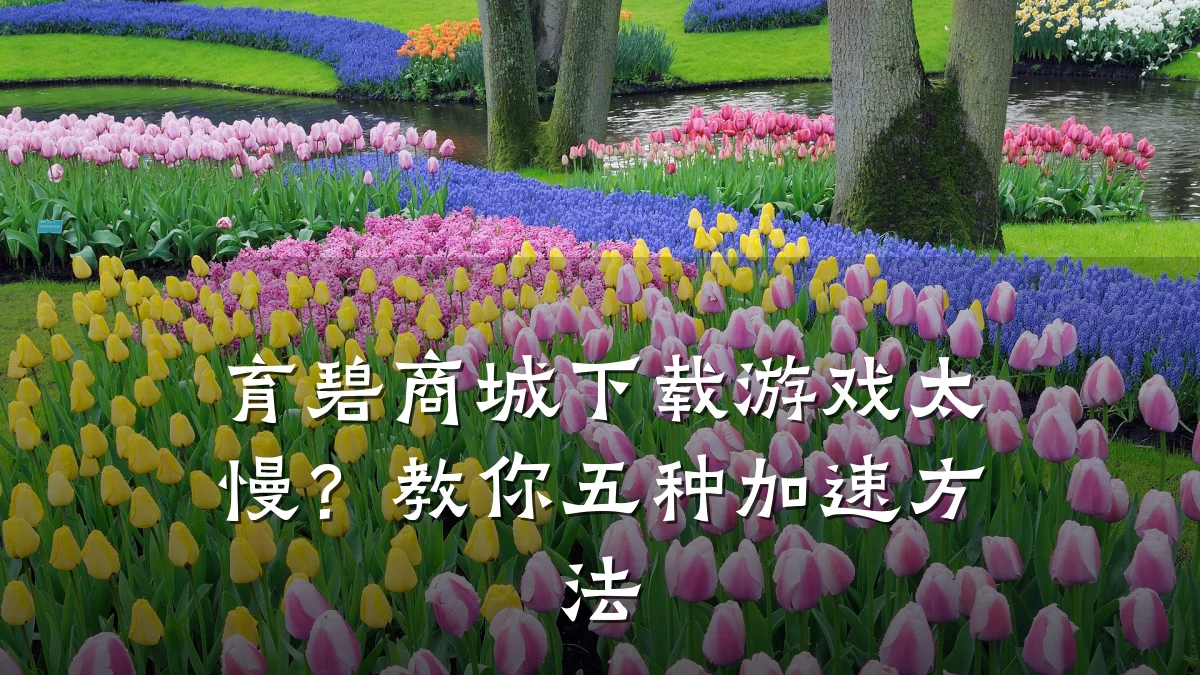 育碧商城下载游戏太慢?教你五种加速方法