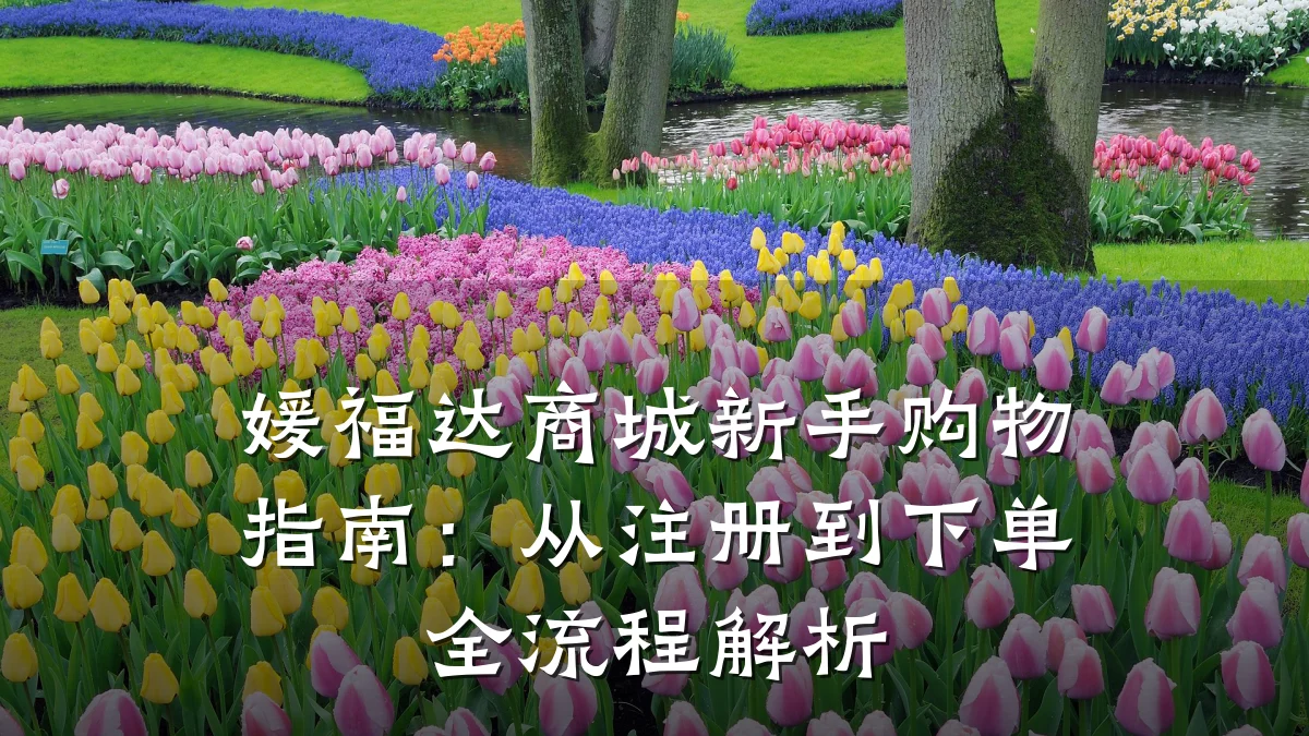 媛福达商城新手购物指南：从注册到下单全流程解析