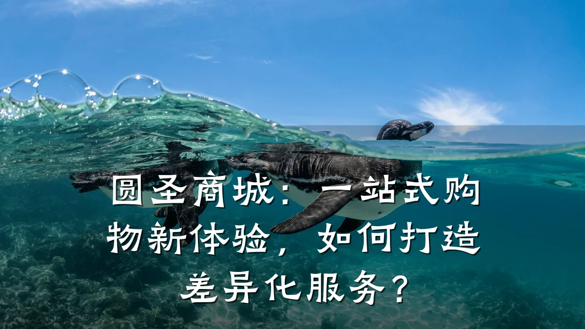圆圣商城：一站式购物新体验，如何打造差异化服务？
