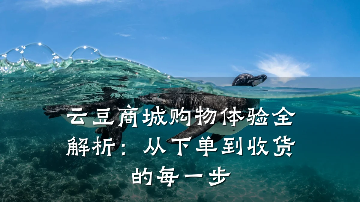 云豆商城购物体验全解析：从下单到收货的每一步
