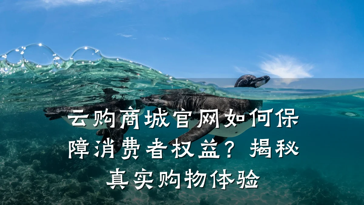 云购商城官网如何保障消费者权益?揭秘真实购物体验