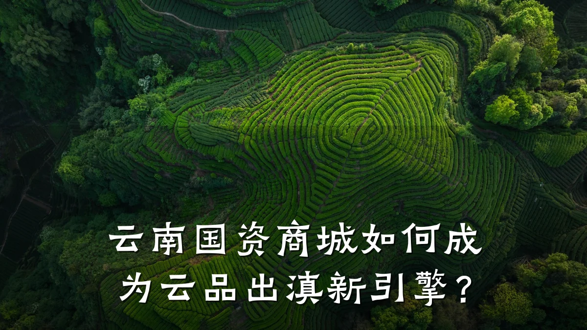 云南国资商城如何成为云品出滇新引擎？