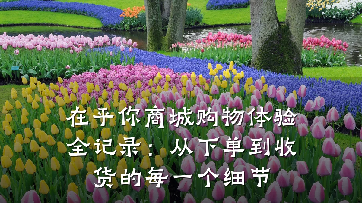 在乎你商城购物体验全记录：从下单到收货的每一个细节
